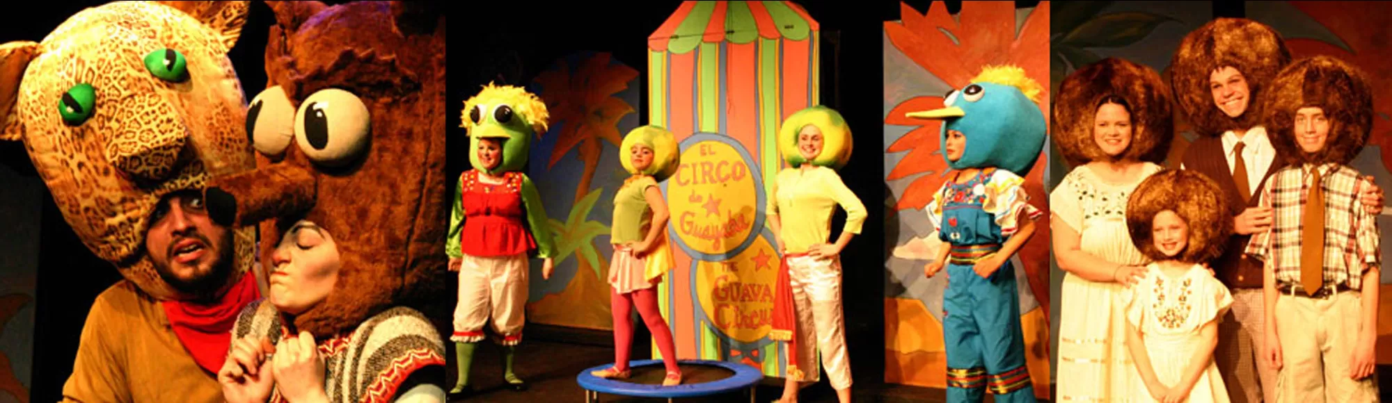 The Adventures of Mr. Coconut or Las Aventuras de Senor Coco